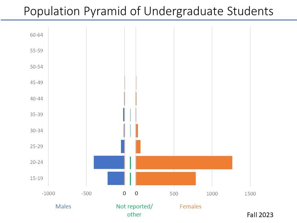Population Pyramid (age and sex) of CECI undergraduate students. Fall 2023. Data is in table.